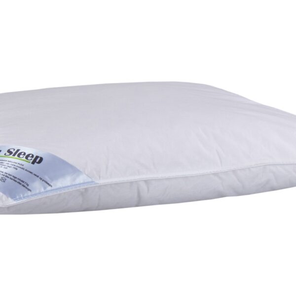 Dunpude 50x60 cm - Mellem hovedpude med moskusdun - 1 kammer hovedpude - Zen Sleep
